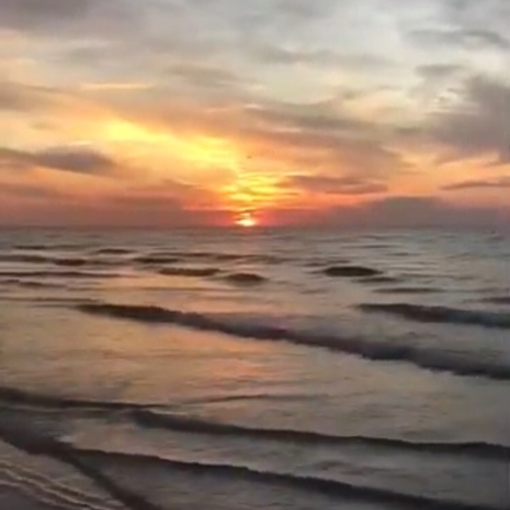 Meet your Posher, Ali